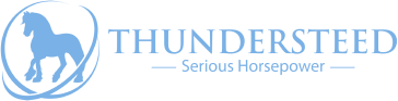 thundersteed logo